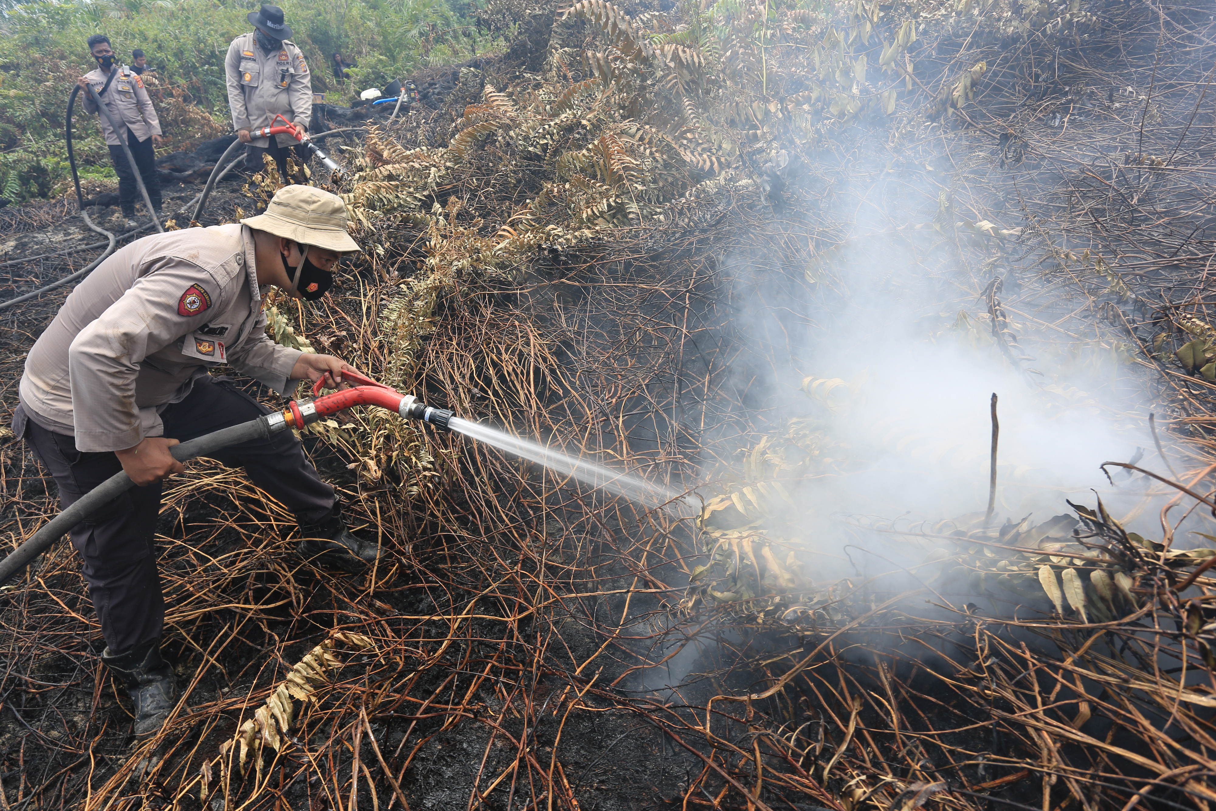 Upaya Memadamkan Kebakaran Lahan Gambut