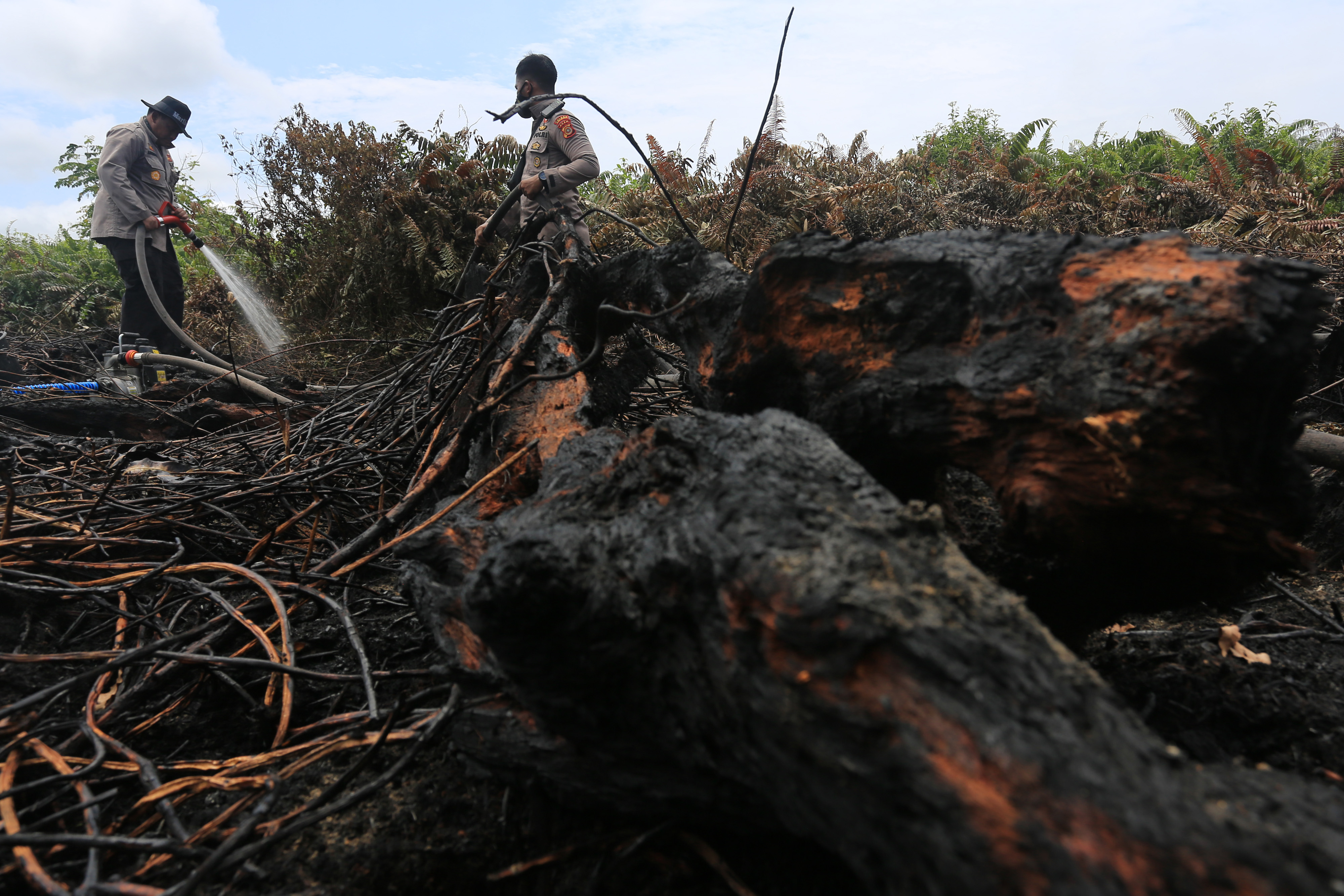 Upaya Memadamkan Kebakaran Lahan Gambut