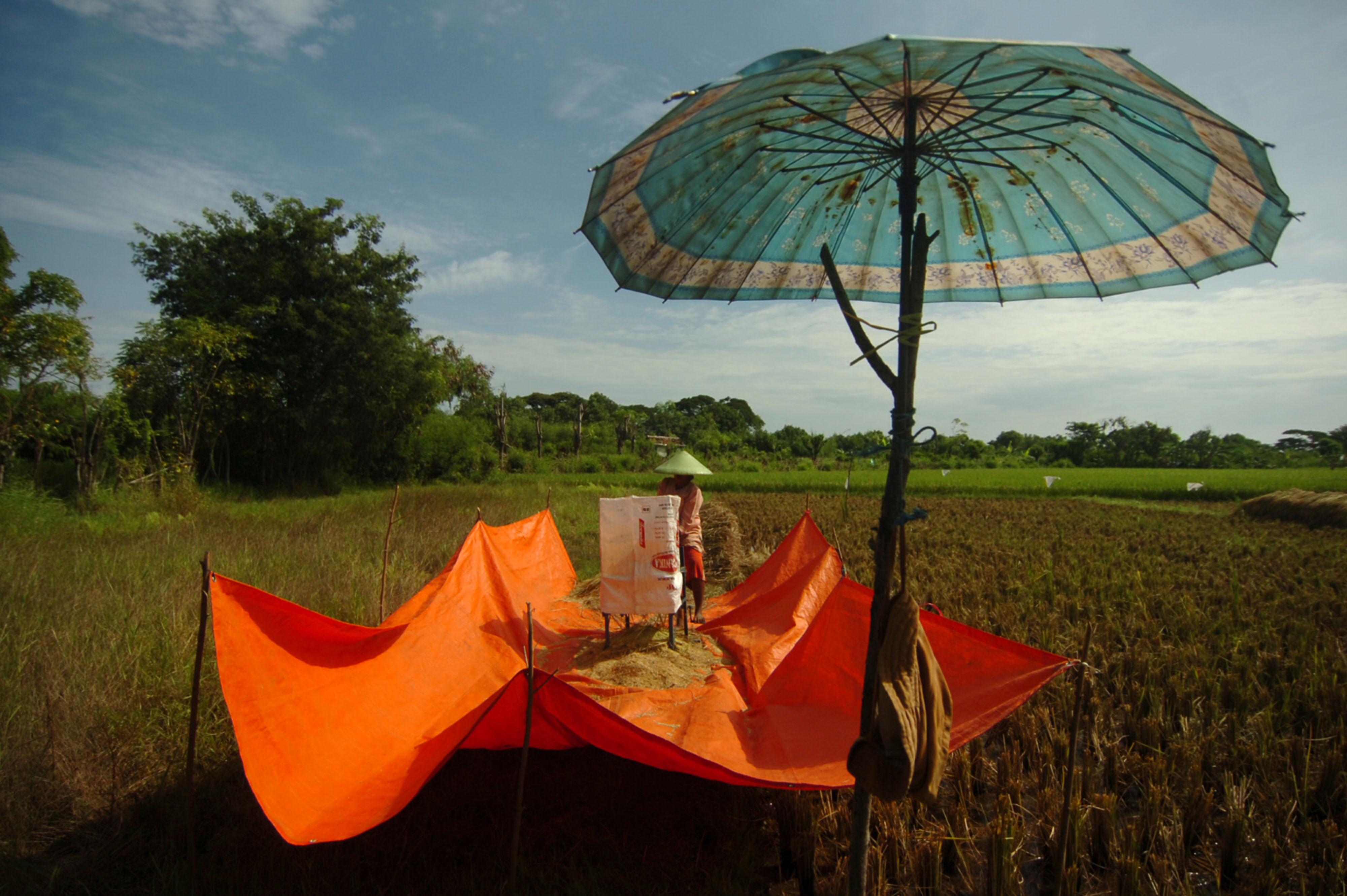 Tegal Menolak Impor Beras