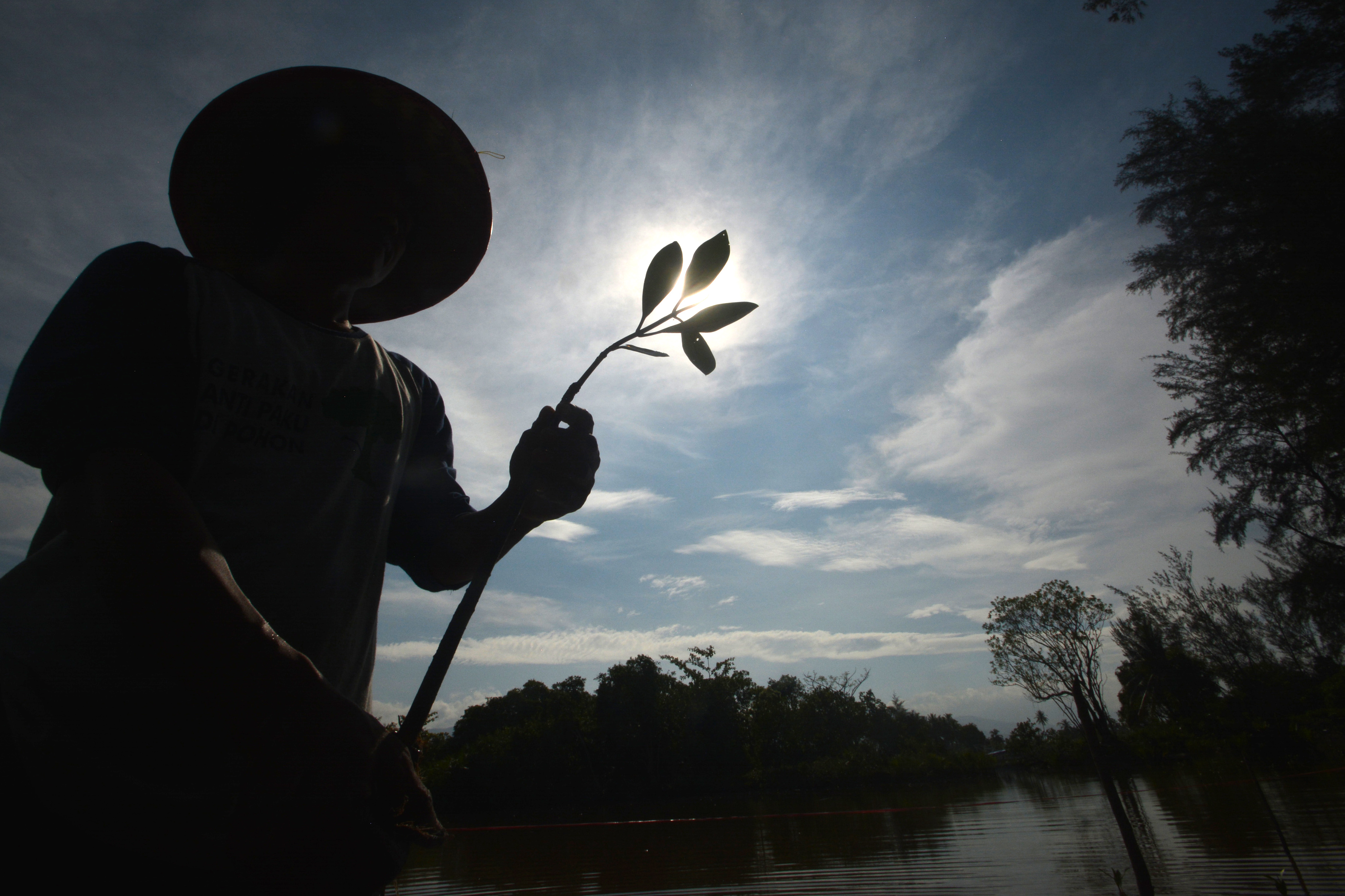 Rehabilitasi Bekas Penambangan Pasir