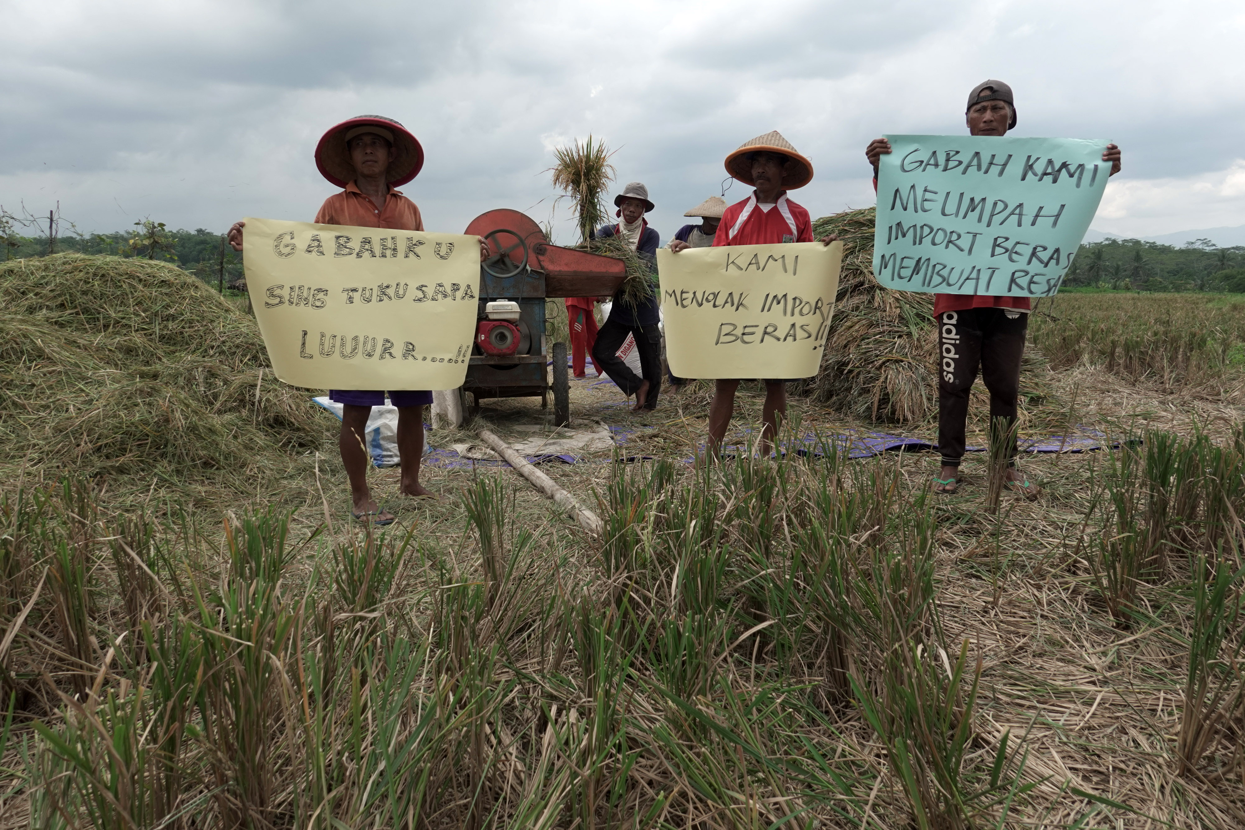 Perpadi Purbalingga Tolak Impor Beras