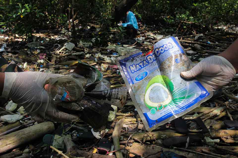 Bersih-Bersih Sampah Plastik di Hutan Mangrove