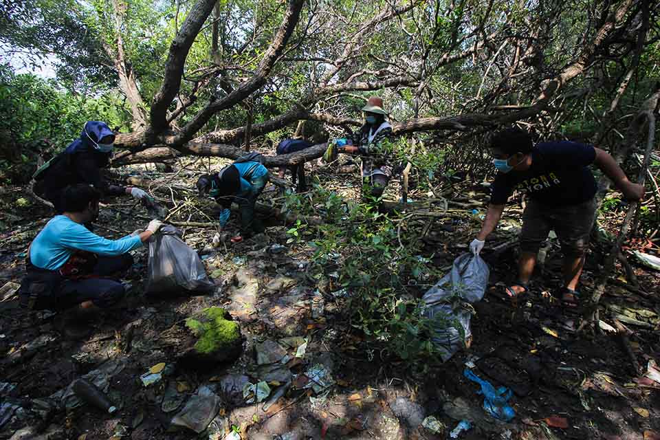 Bersih-Bersih Sampah Plastik di Hutan Mangrove