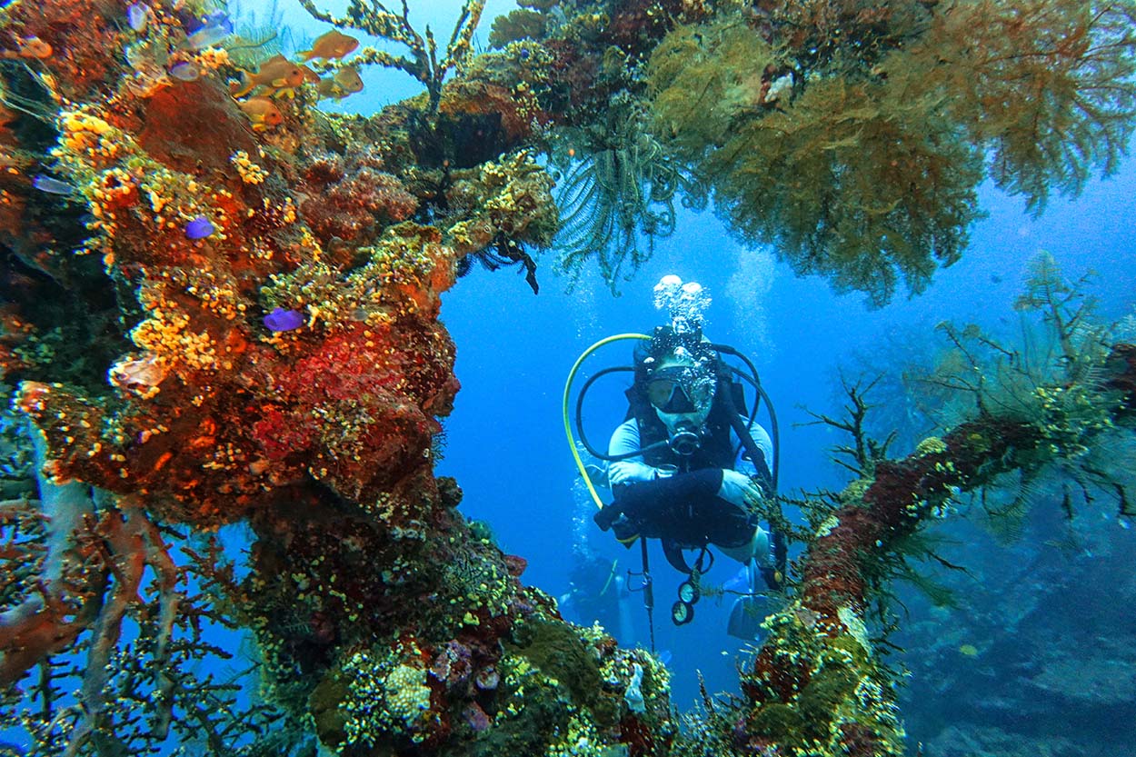 Bangkai Kapal Peninggalan Perang Dunia II