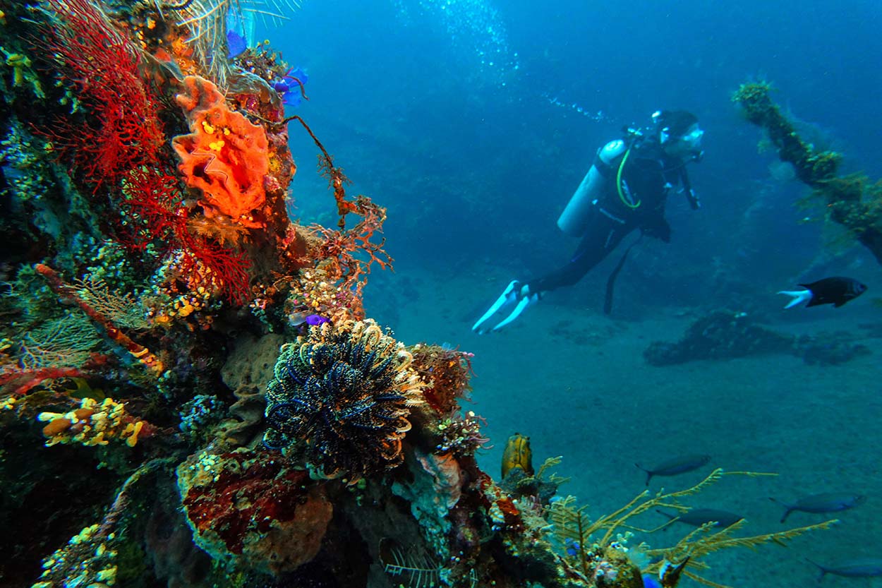 Bangkai Kapal Peninggalan Perang Dunia II