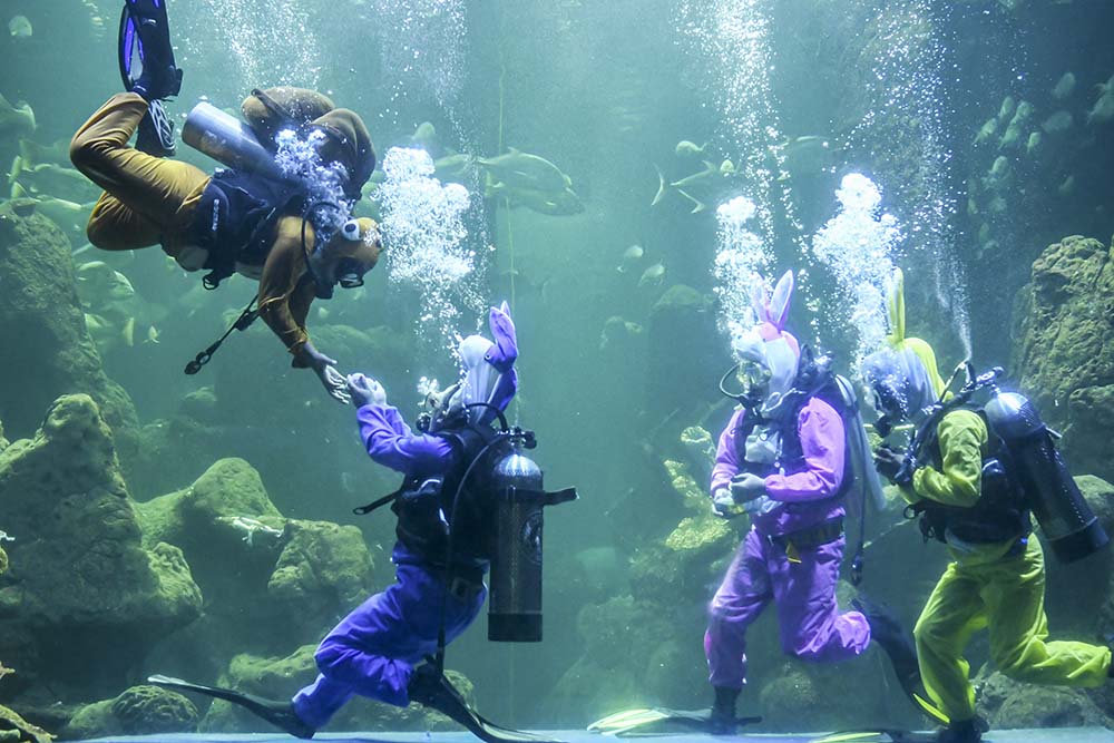 Aksi Selamatkan Laut dari Sampah Plastik 