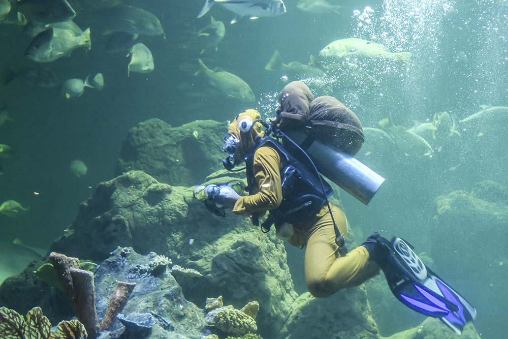 Aksi Selamatkan Laut dari Sampah Plastik 