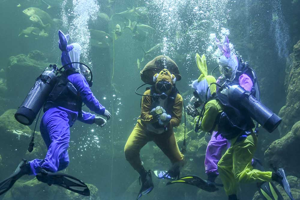 Aksi Selamatkan Laut dari Sampah Plastik 