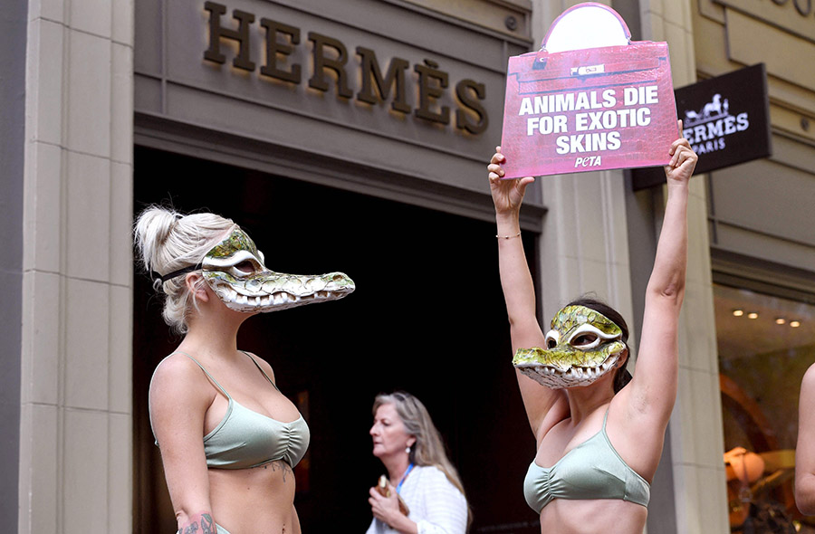 Aksi Berbikini Menolak Penggunaan Kulit Buaya