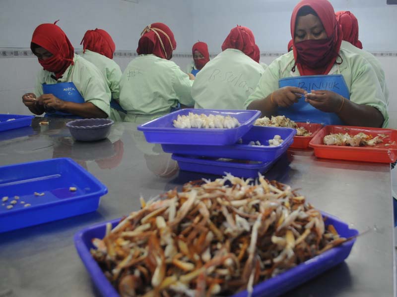 Harga Rajungan Di Pamekasan Naik