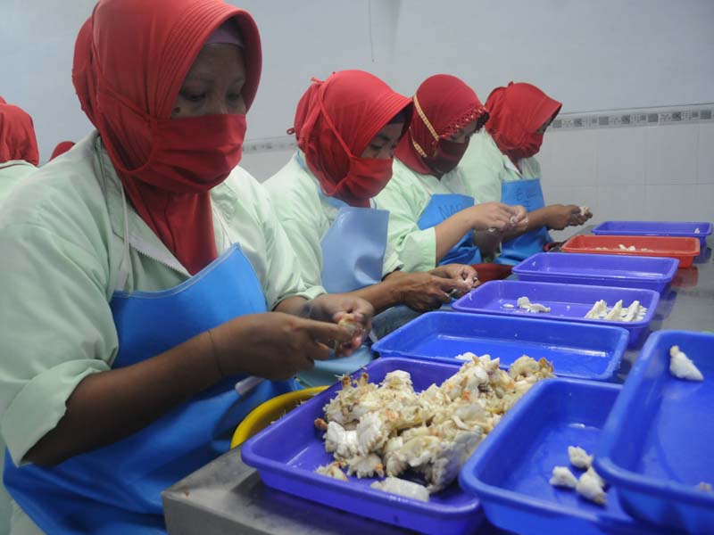 Harga Rajungan Di Pamekasan Naik