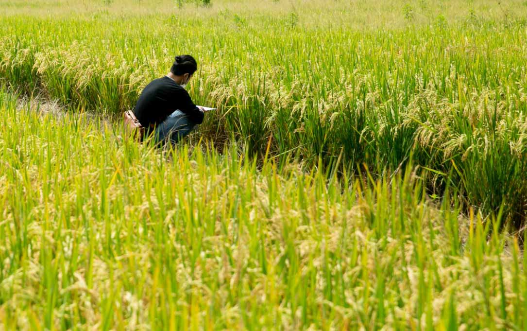 Pemeran Sketsa Jauh di Mata, Dekat di Garis