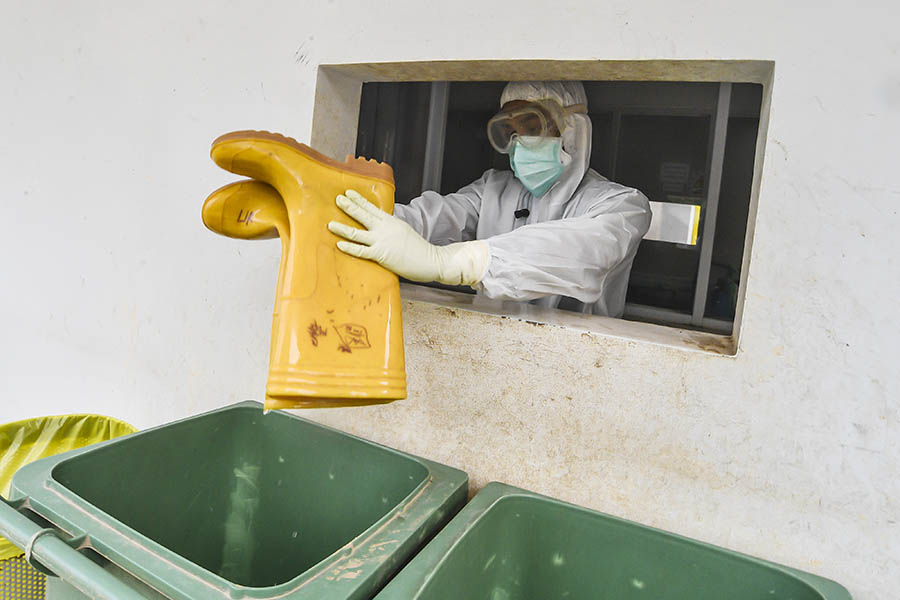 Satu Tahun Wabah Korona Merebak di Indonesia 