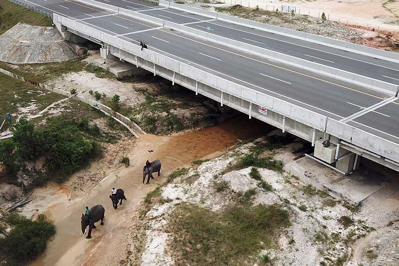 Terowongan Gajah Tol Pekanbaru 