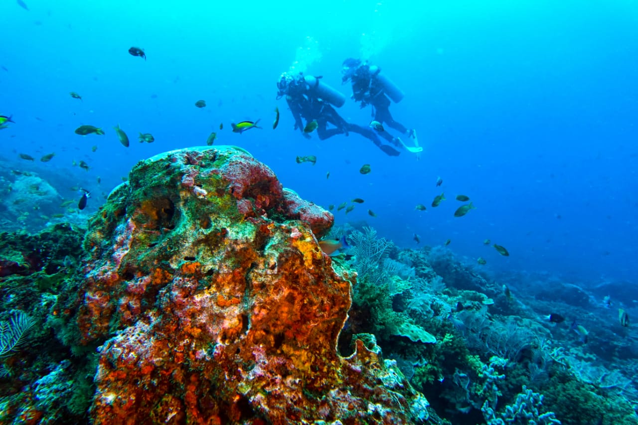 Wisata Bawah Laut Nusa Penida 