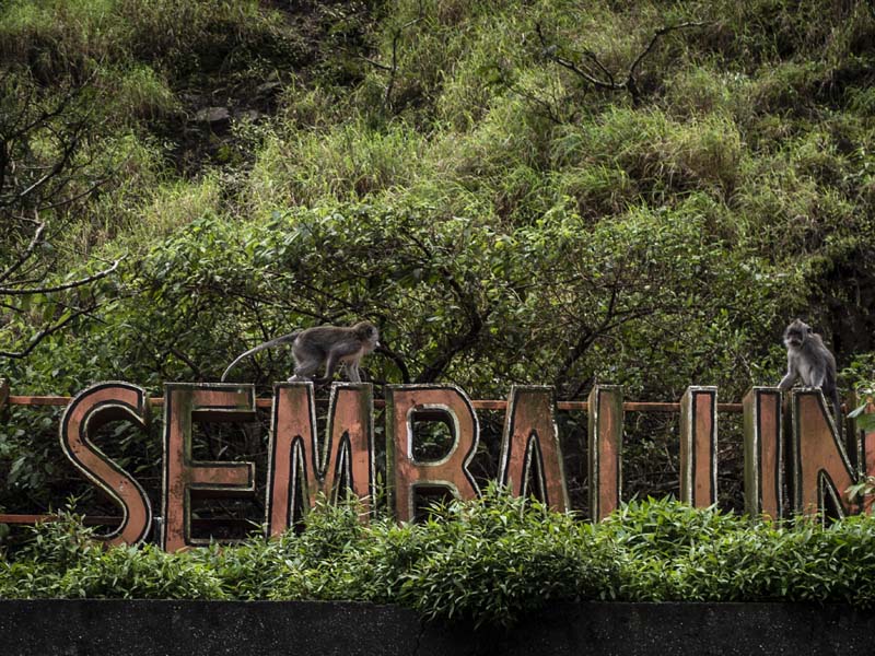 Destinasi Wisata Sembalun