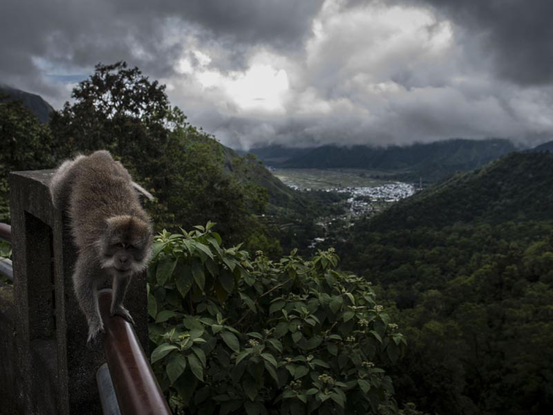 Destinasi Wisata Sembalun