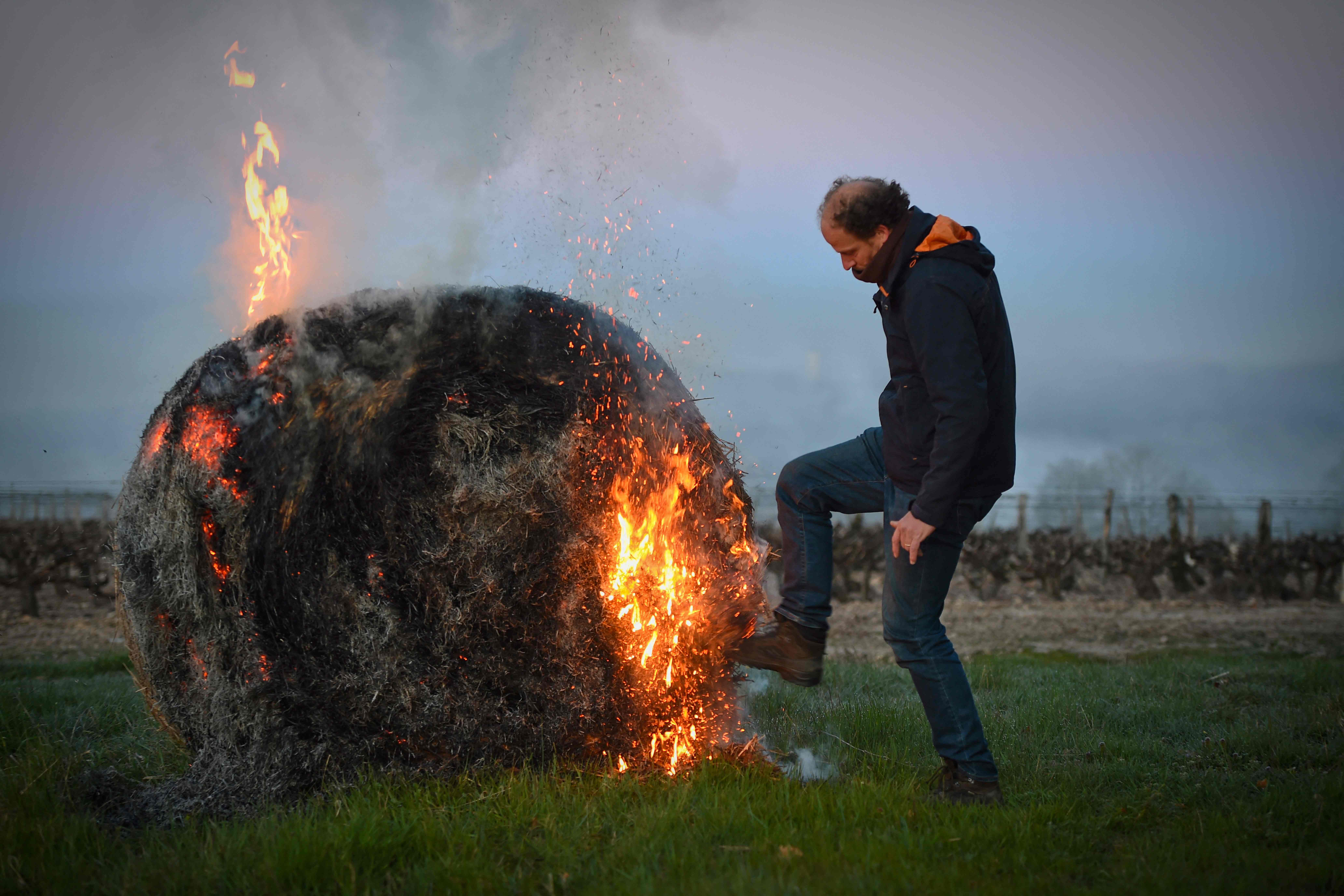  Petani Perancis Nyalakan Lilin untuk Selamatkan Tanaman Anggur 