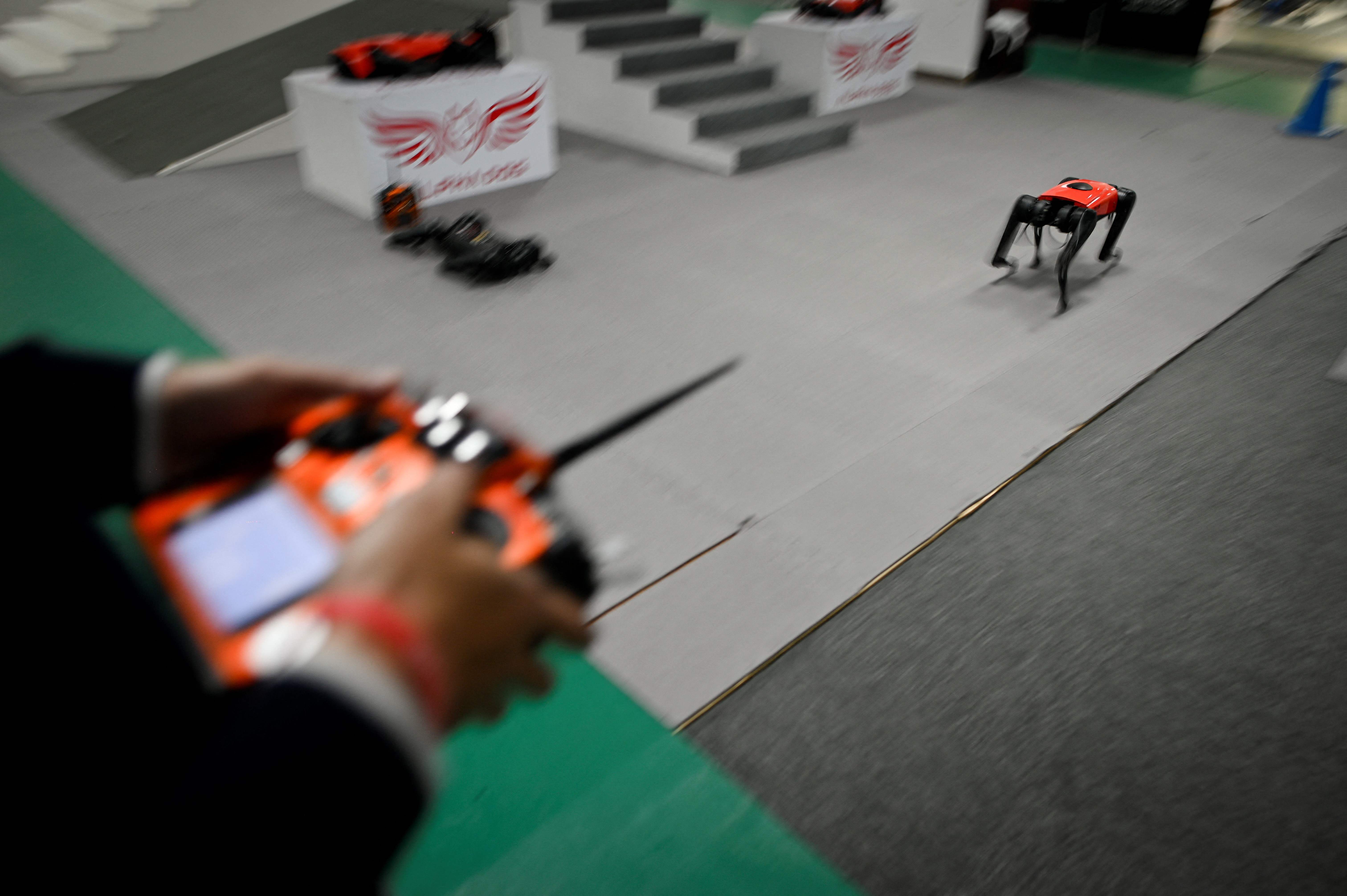 Jalan-Jalan dengan Robot Anjing