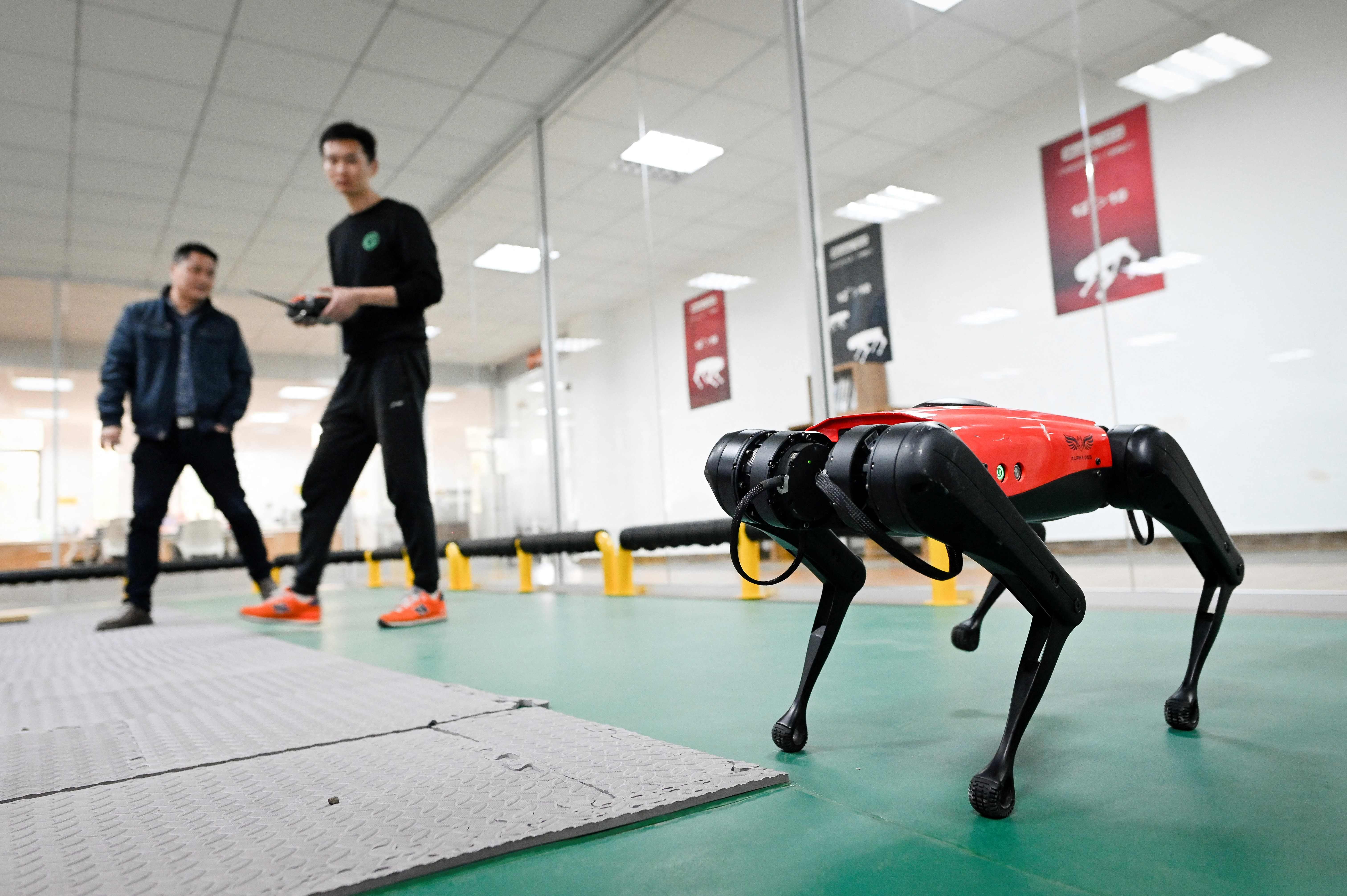 Jalan-Jalan dengan Robot Anjing