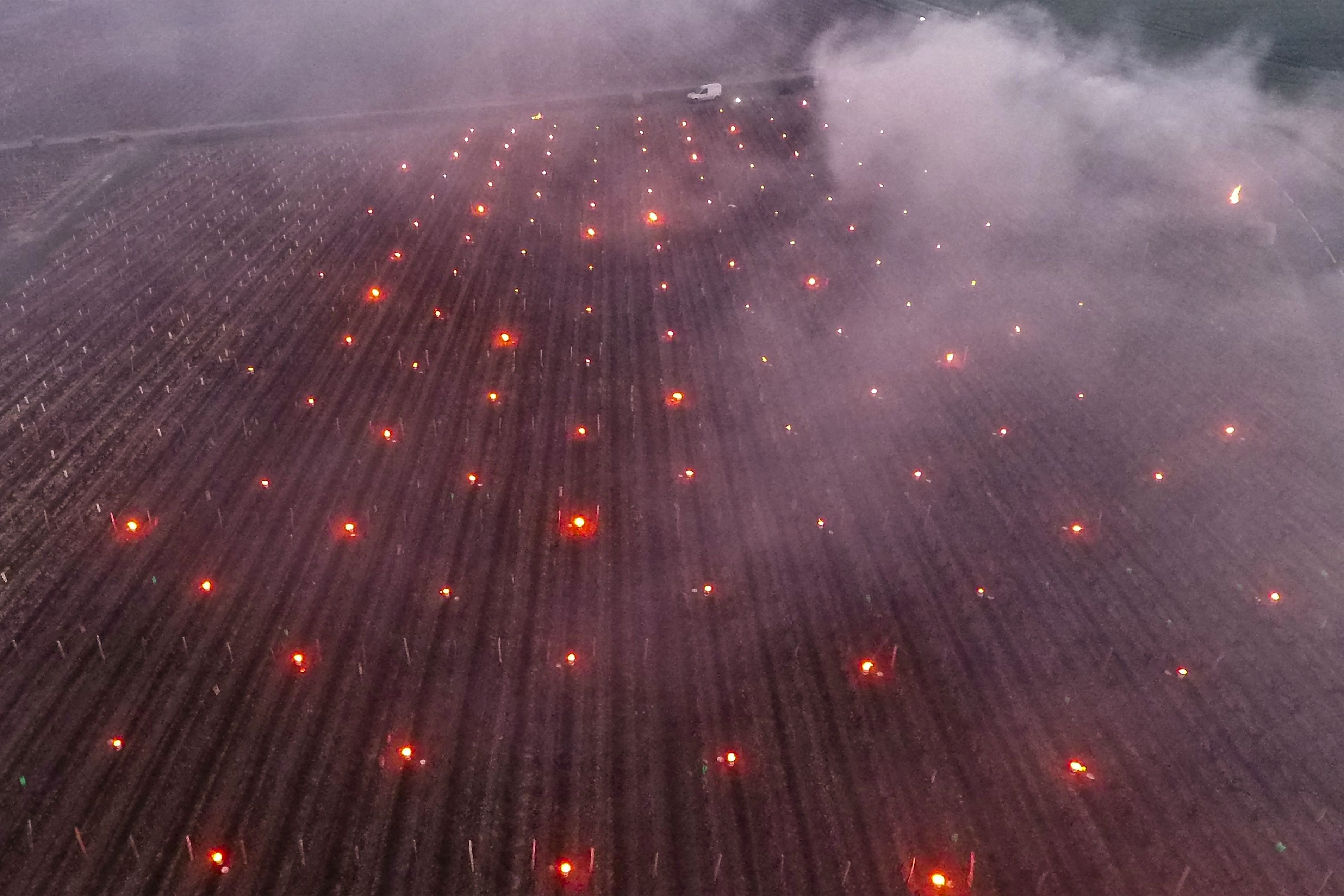  Petani Perancis Nyalakan Lilin untuk Selamatkan Tanaman Anggur 