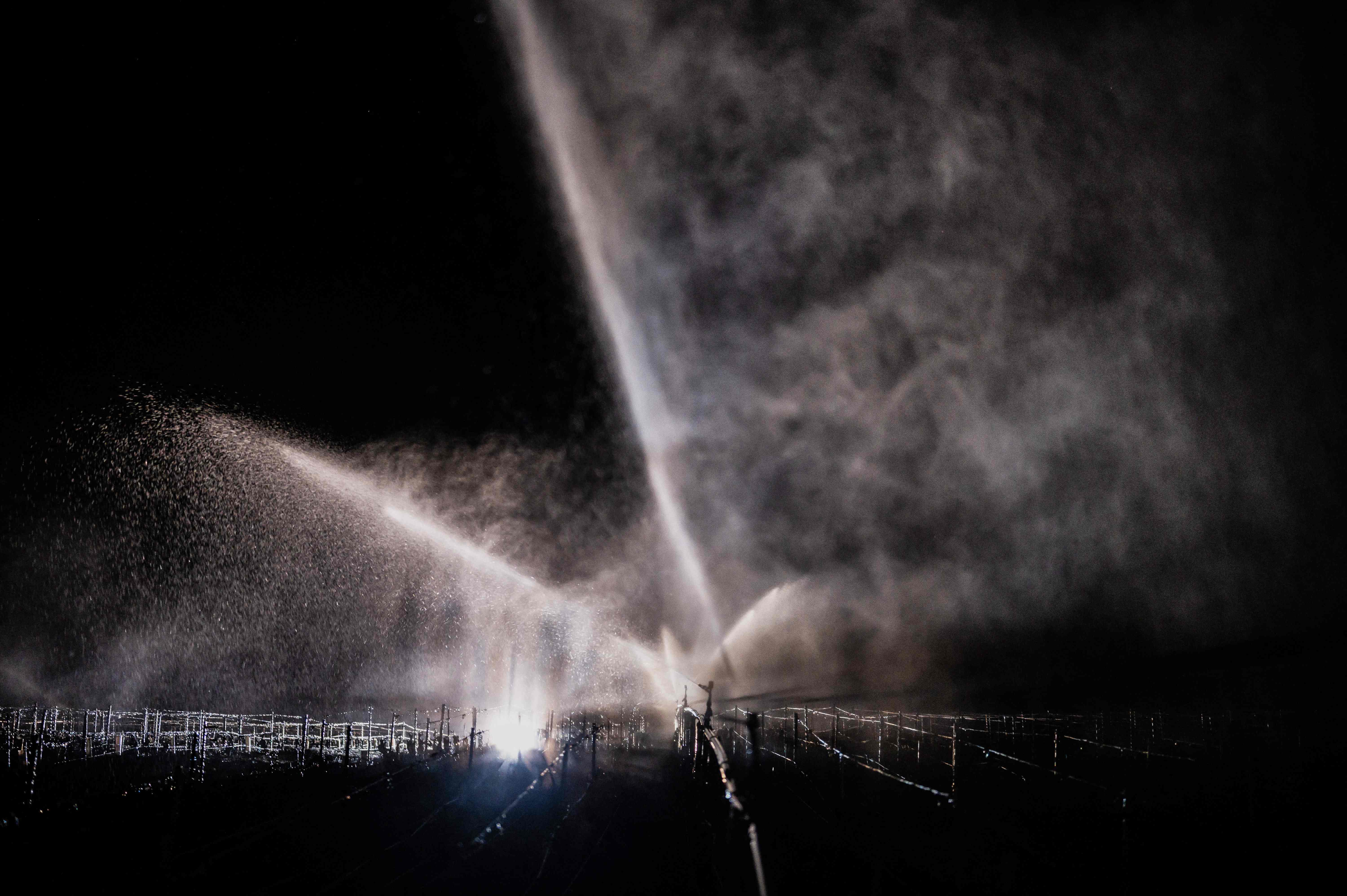  Petani Perancis Nyalakan Lilin untuk Selamatkan Tanaman Anggur 