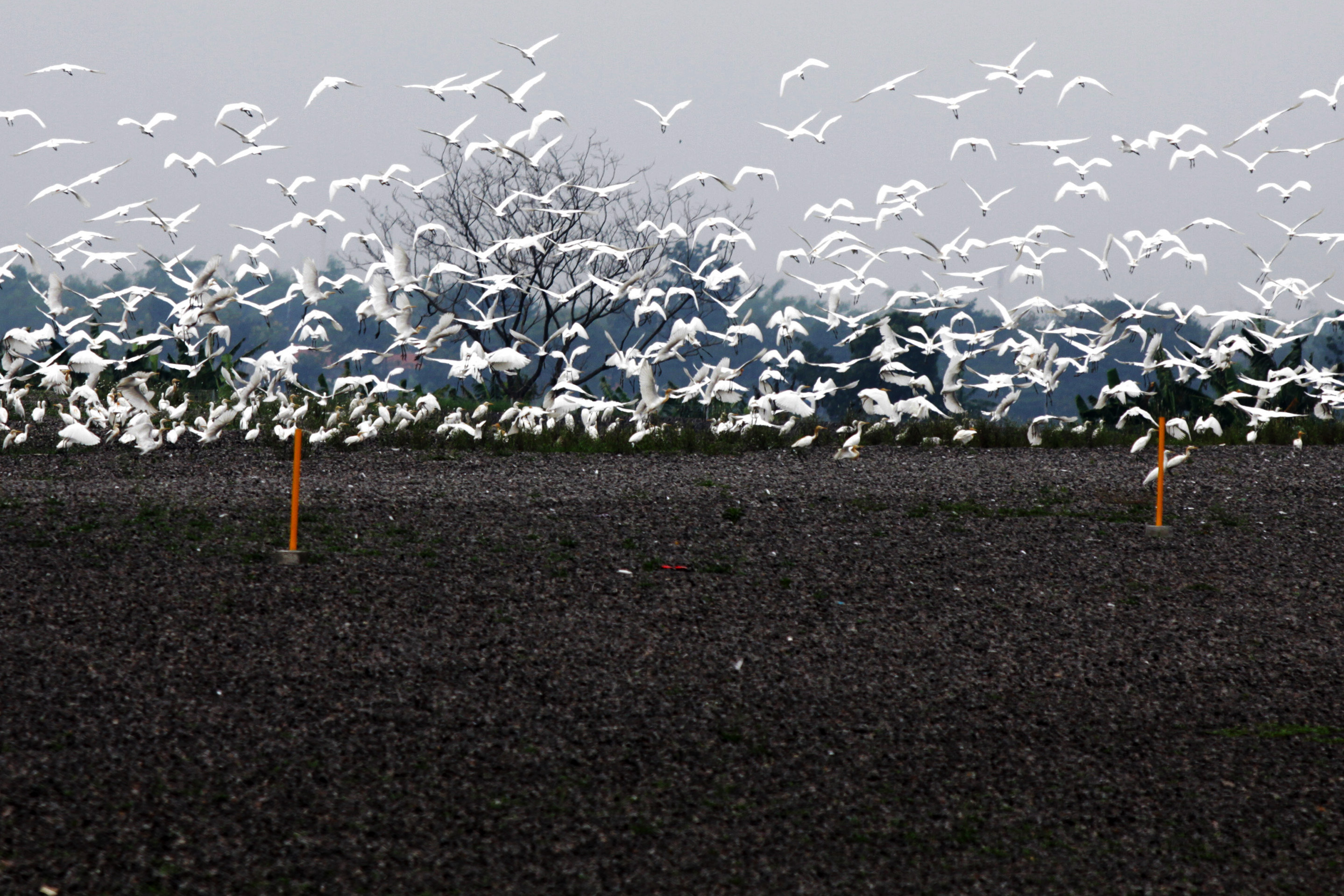 Revitalisasi Tempat Pembuangan Sampah Akhir di Sidioarjo