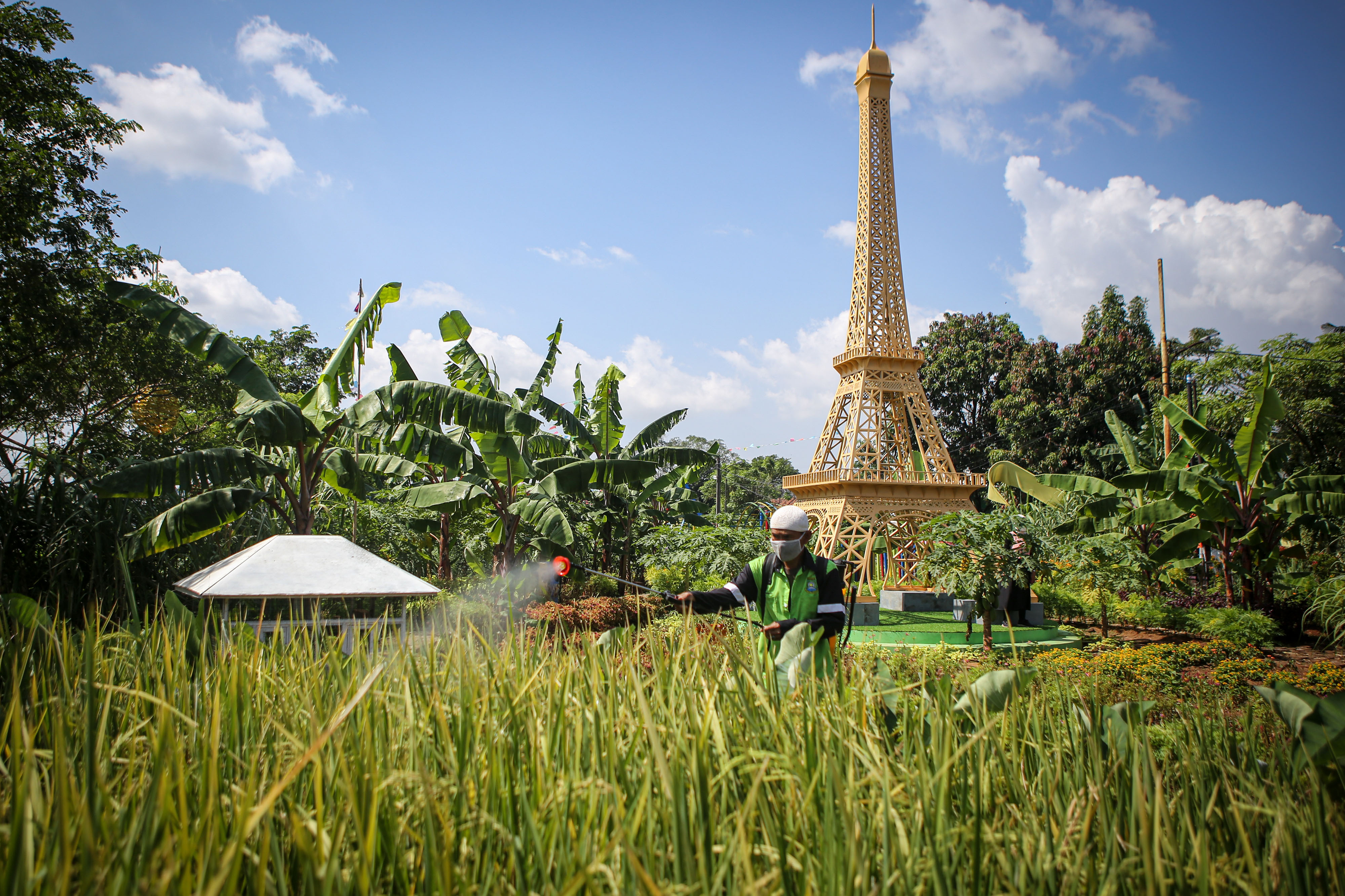 Ecofarm Kampung Baru Tangerang