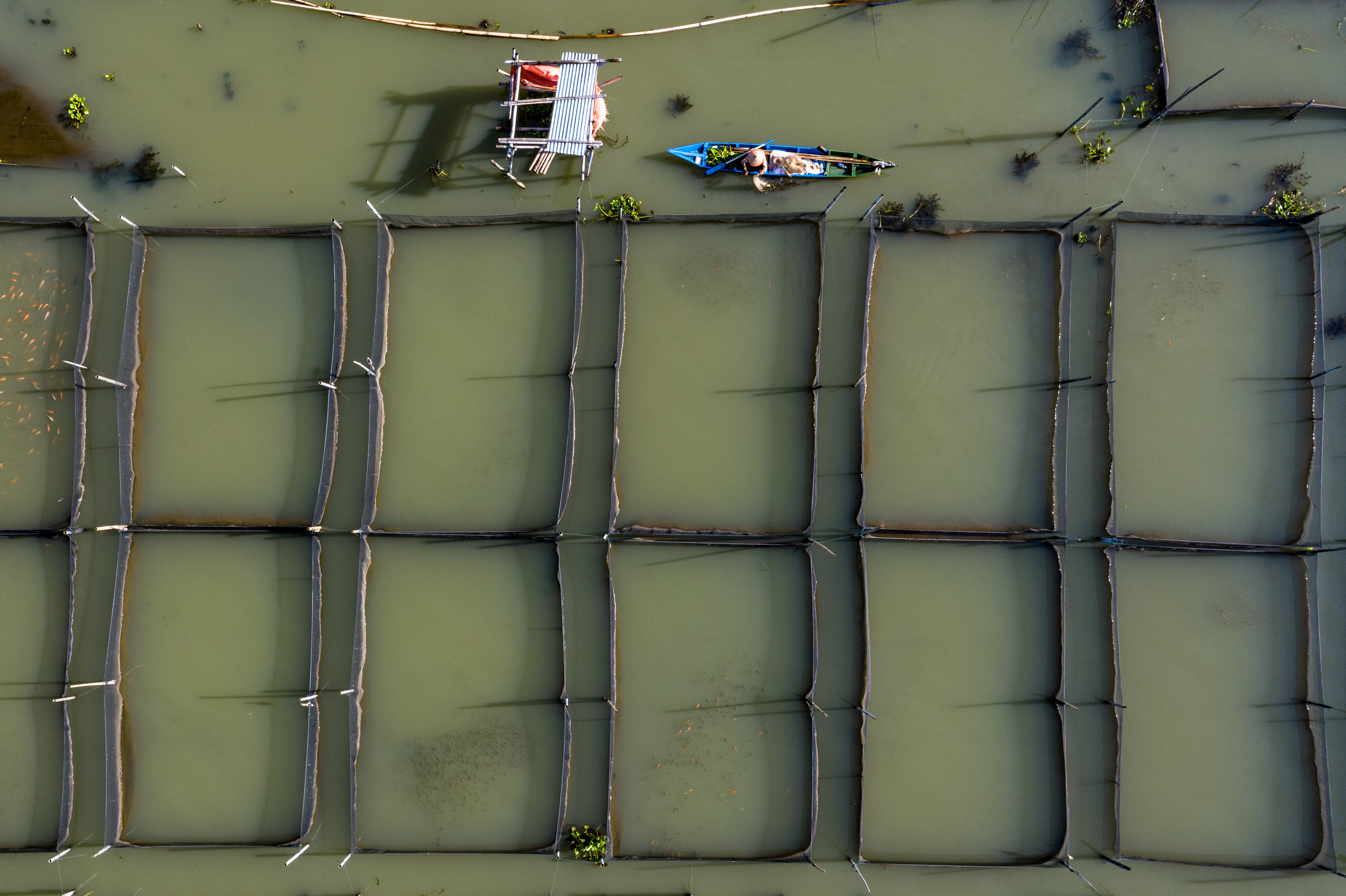 Target Produksi Perikanan Budidaya 2021