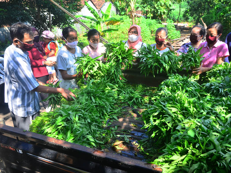 Aksi Bagi Sayur Saat Bulan Ramadan
