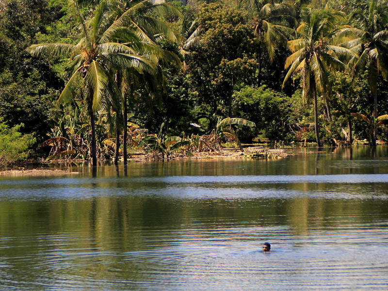 Fenomena Munculnya Danau Baru PascaSiklon Seroja 