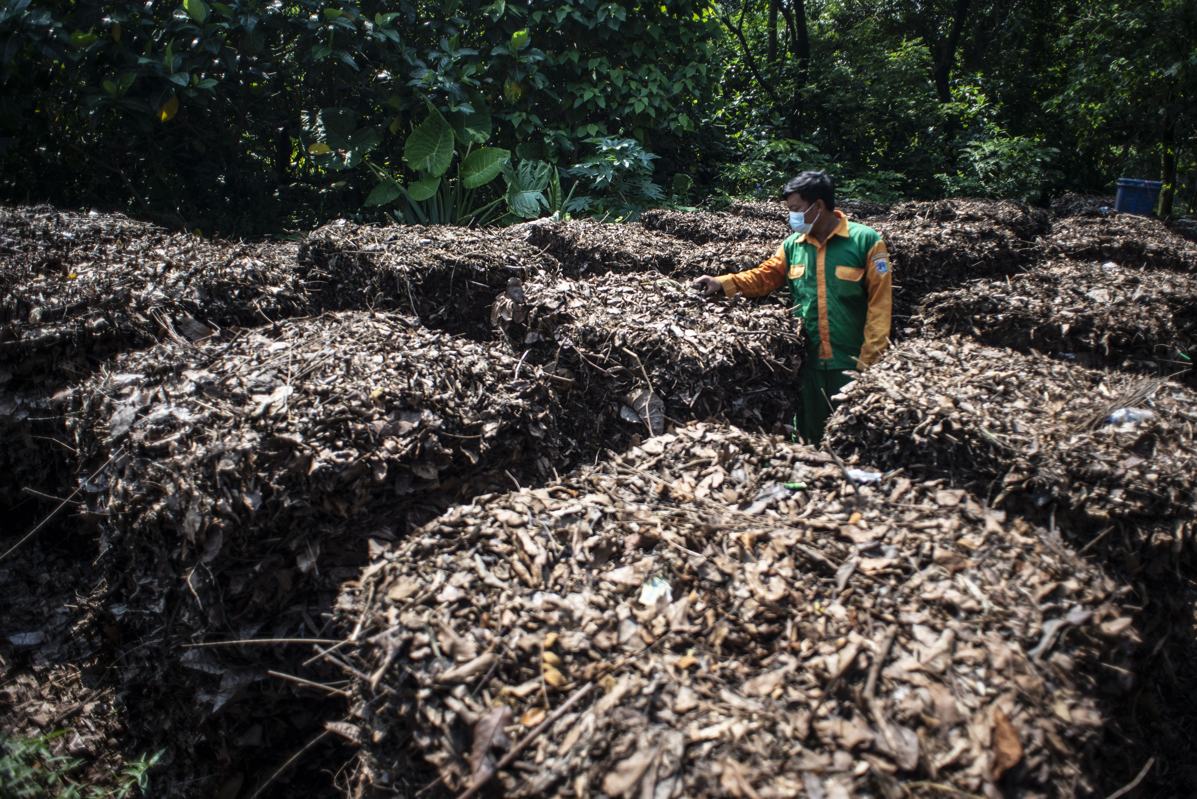 Produksi Pupuk Kompos di Taman Margasatwa Ragunan