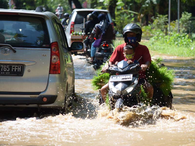 Amankan Bibit Padi Akibat Banjir