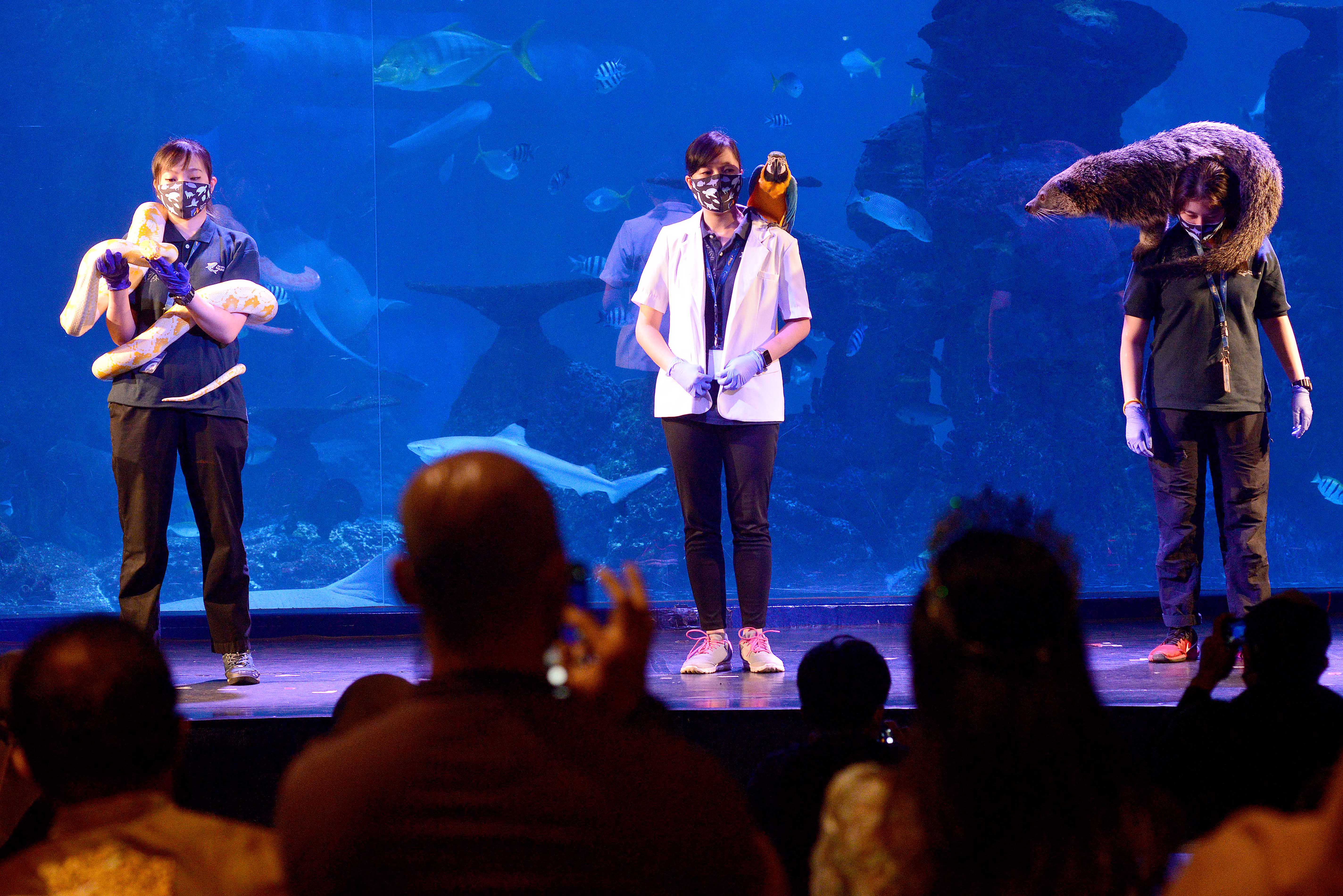 Perempuan di Balik Jakarta Aquarium