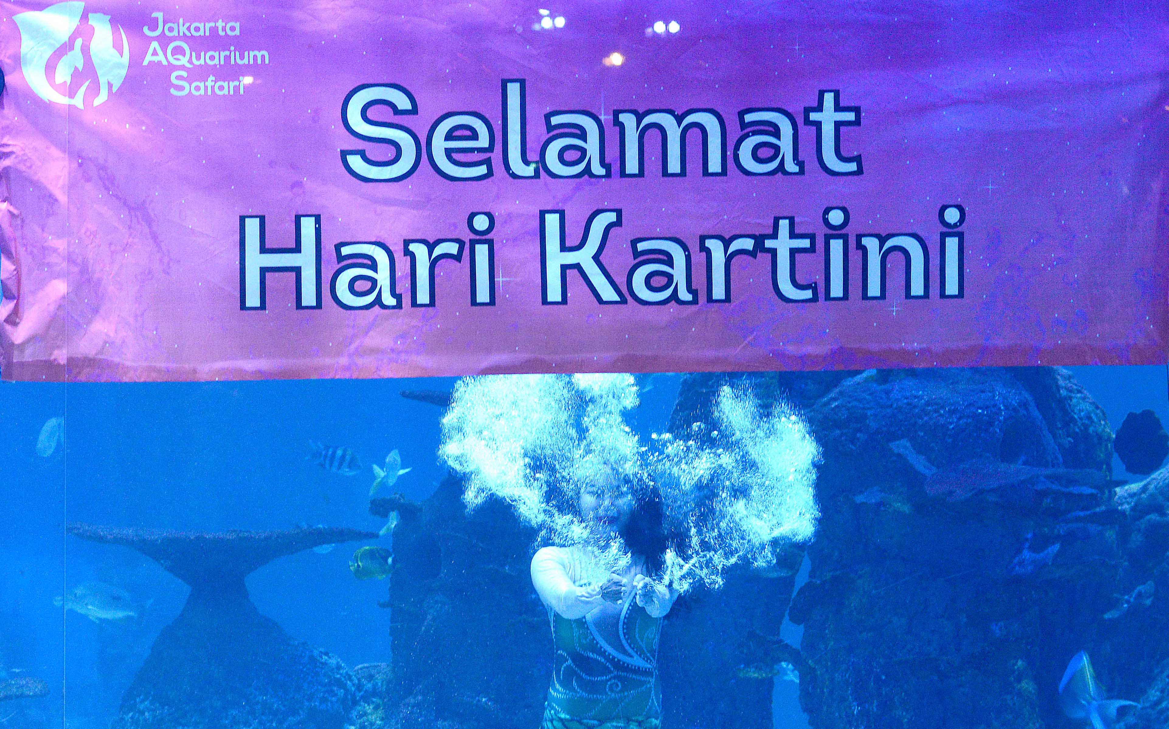 Perempuan di Balik Jakarta Aquarium