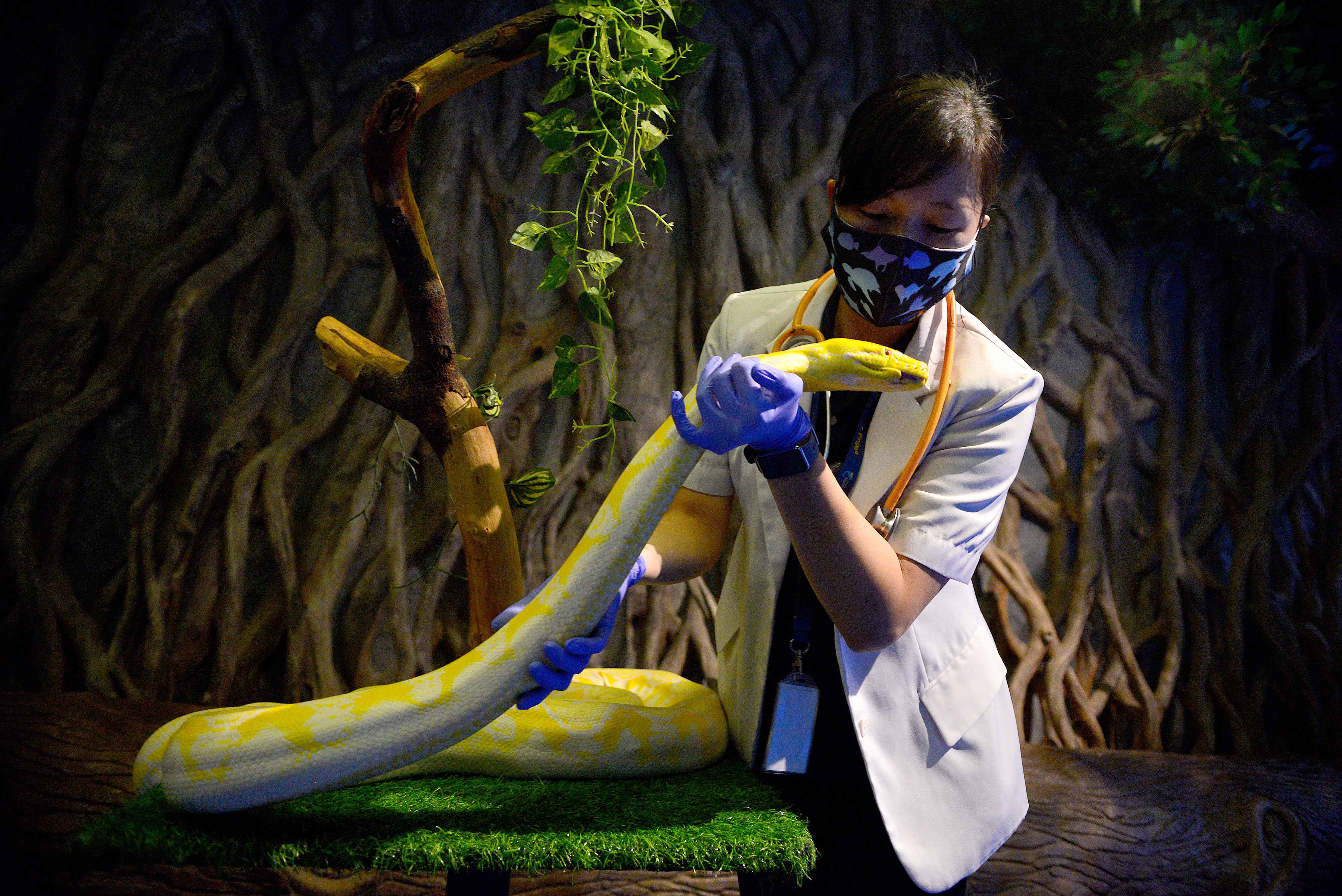 Perempuan di Balik Jakarta Aquarium