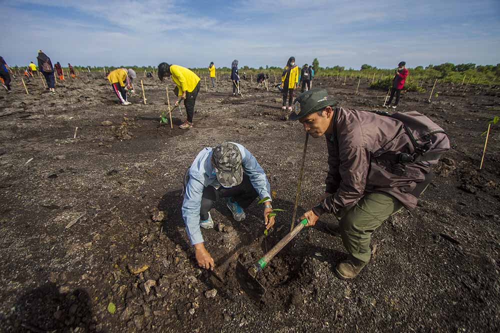 Penanaman Satu Juta Pohon di Kalsel