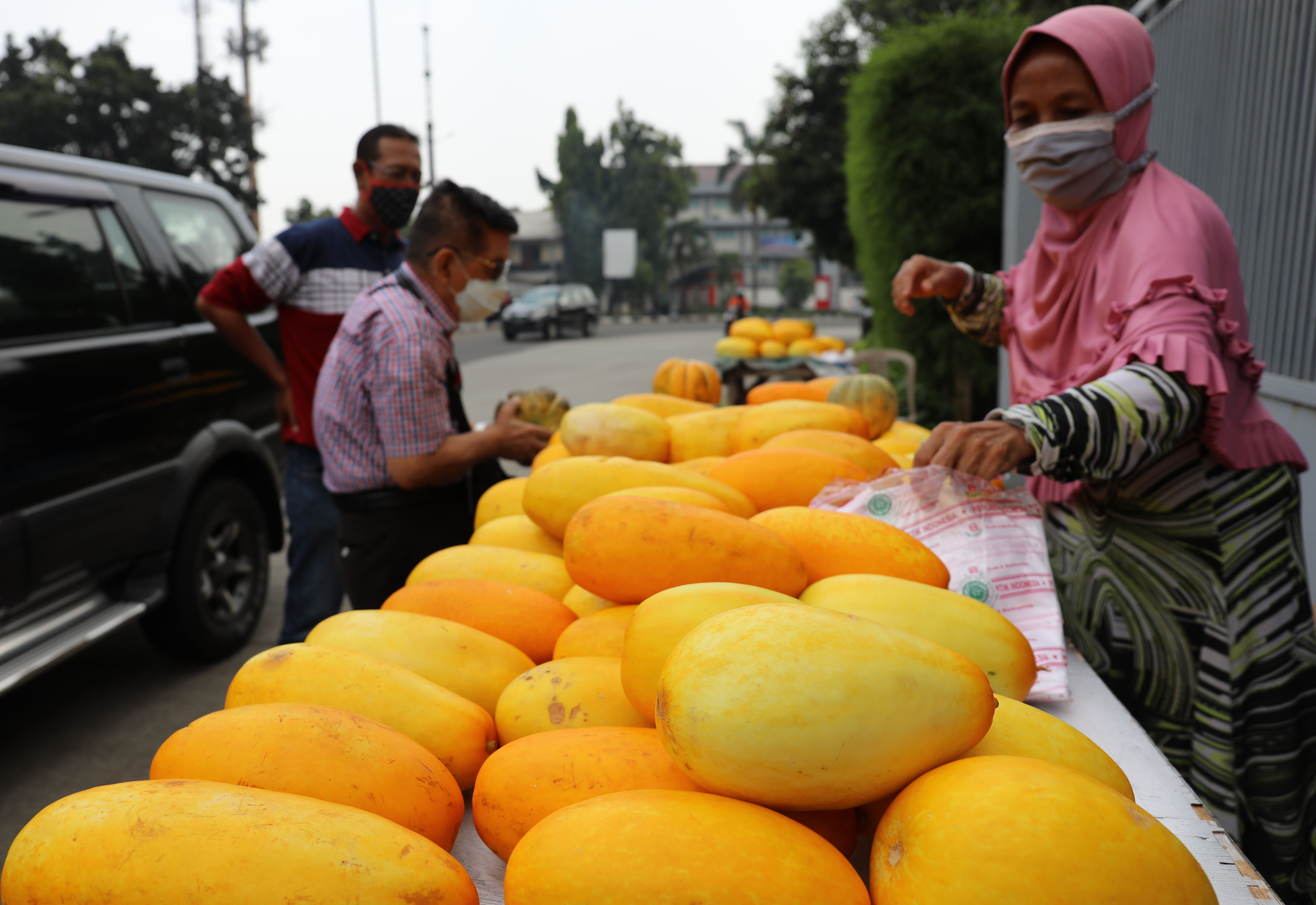 Buah Timun Suri Khas Saat Ramadan