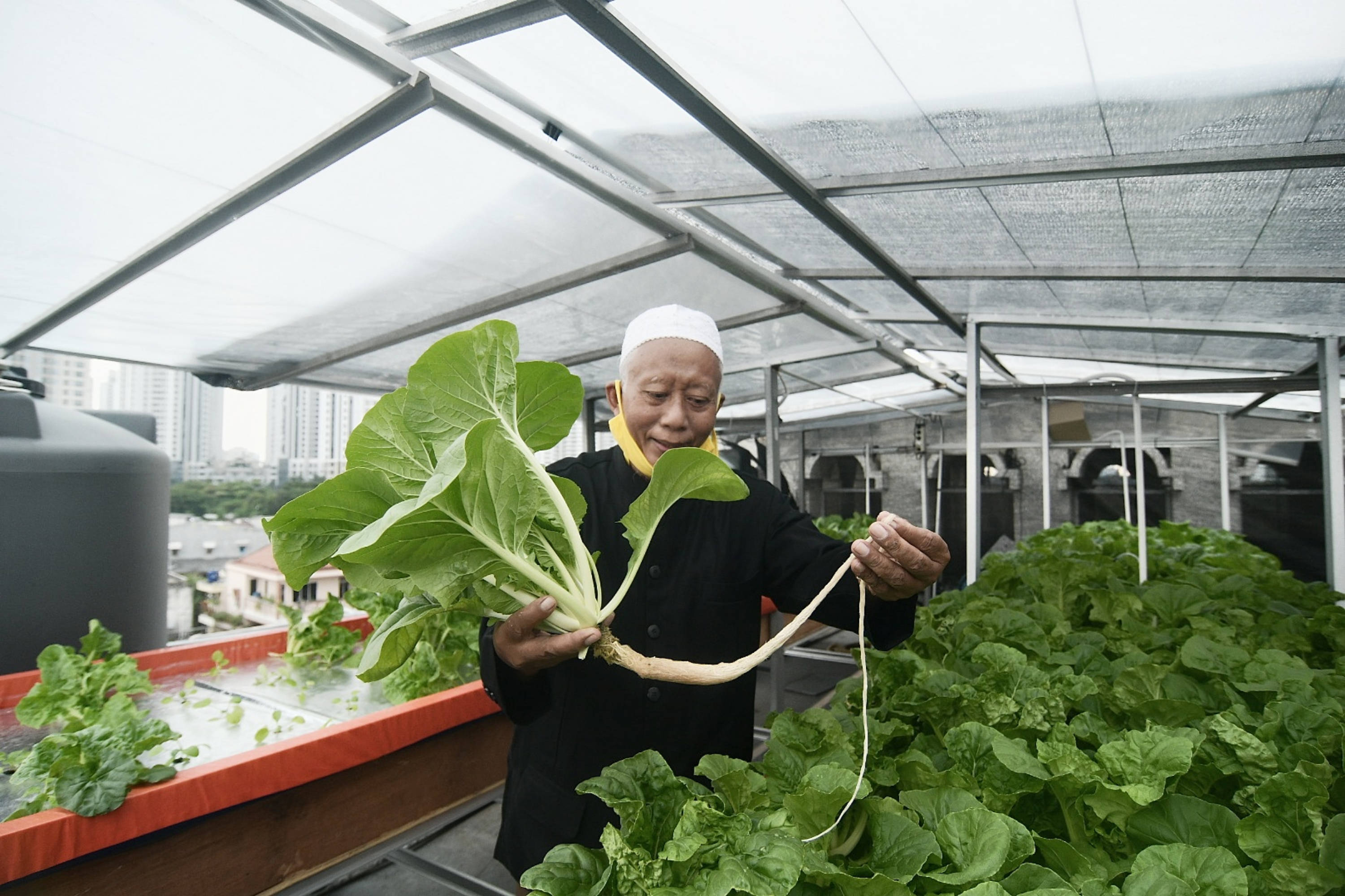 Memanfaatkan Atap Masjid untuk Berkebun