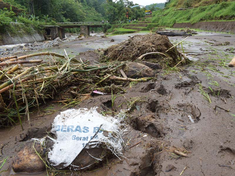 Sawah Rusak Akibat Banjir