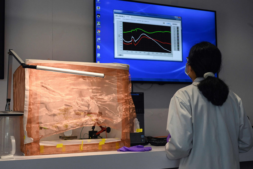 Peneliti Ajak Tanaman Berkomunikasi via Alat Berteknologi Tinggi