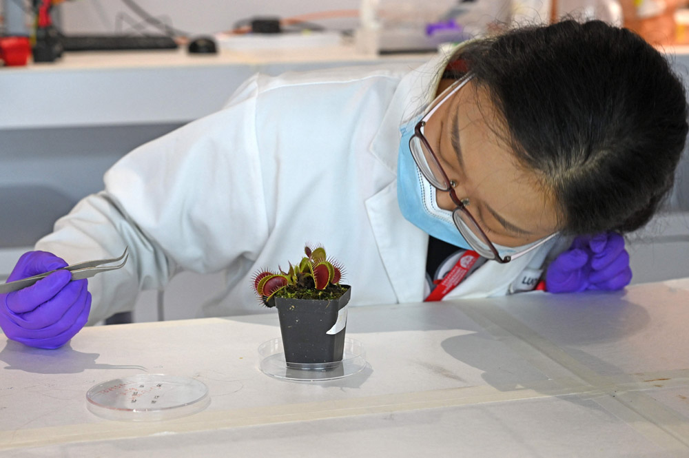 Peneliti Ajak Tanaman Berkomunikasi via Alat Berteknologi Tinggi