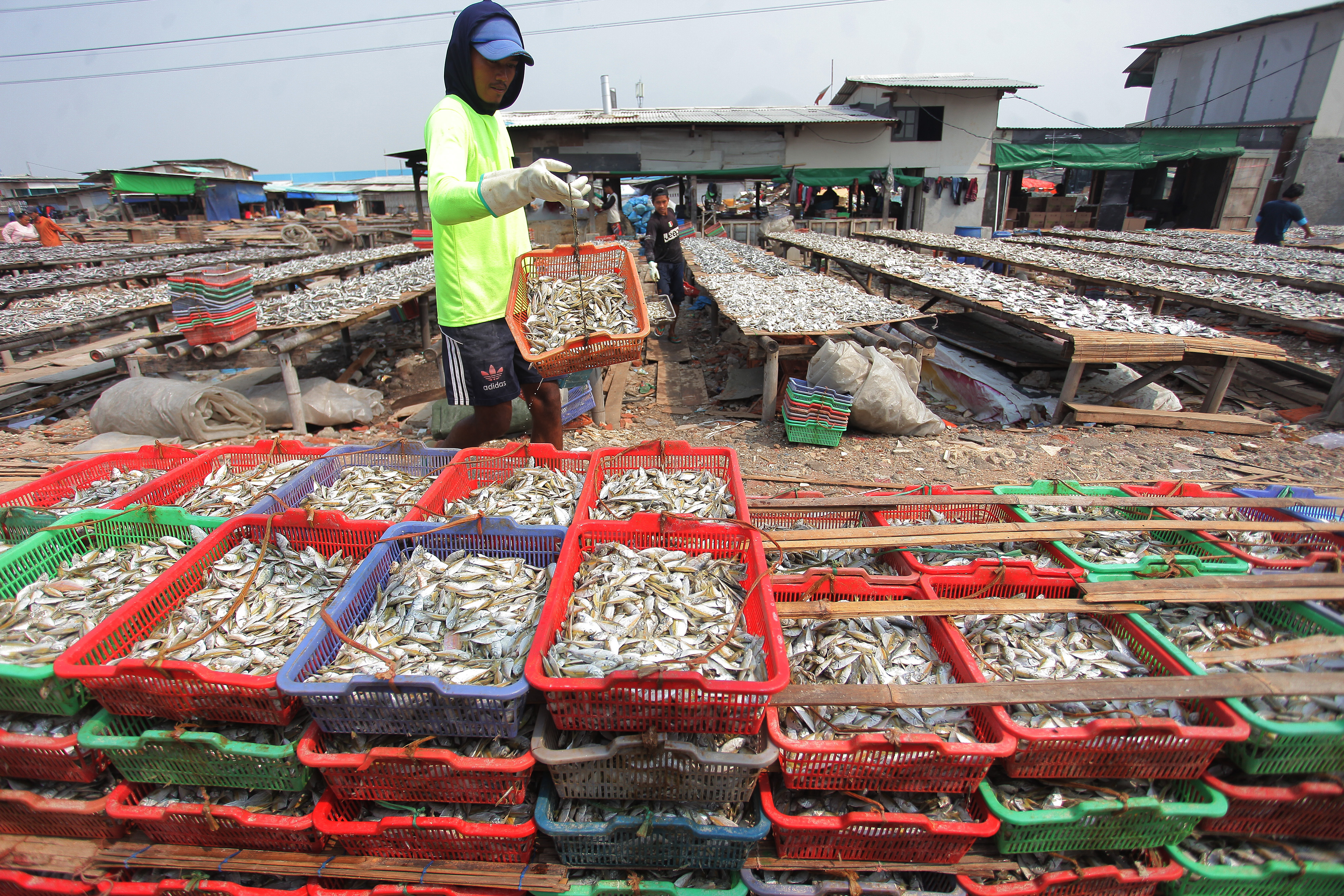 Realisasi Dana Pemulihan Ekonomi Nasional