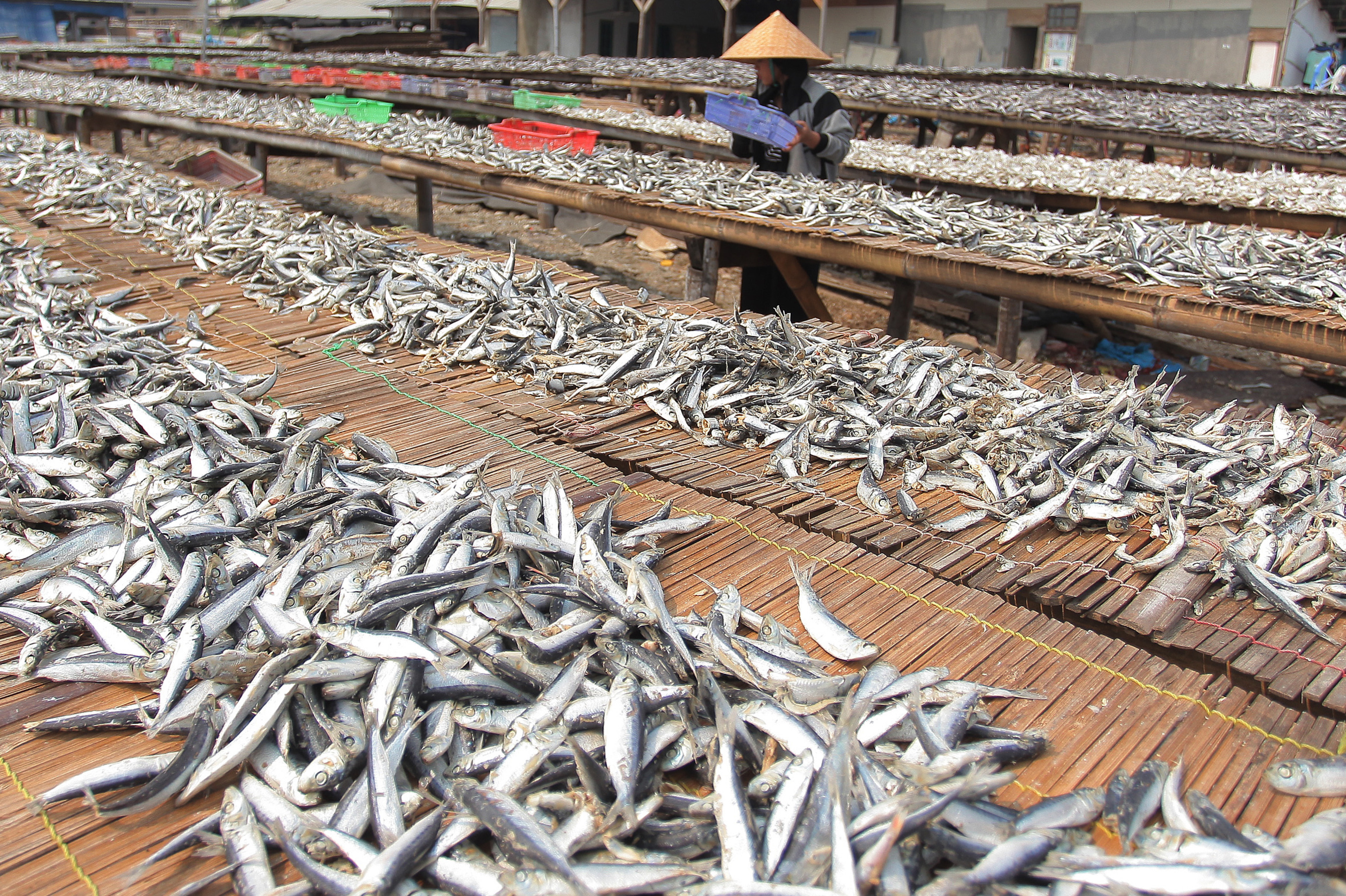 Realisasi Dana Pemulihan Ekonomi Nasional