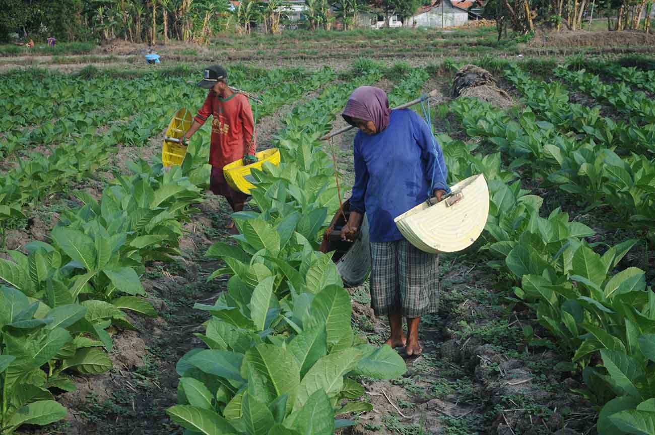  Kawasan Industri Hasil Tembakau 