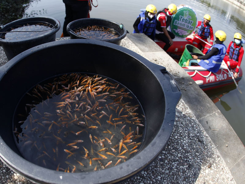 Tebar Benih Ikan Dalam Rangka Hari Lingkungan Hidup
