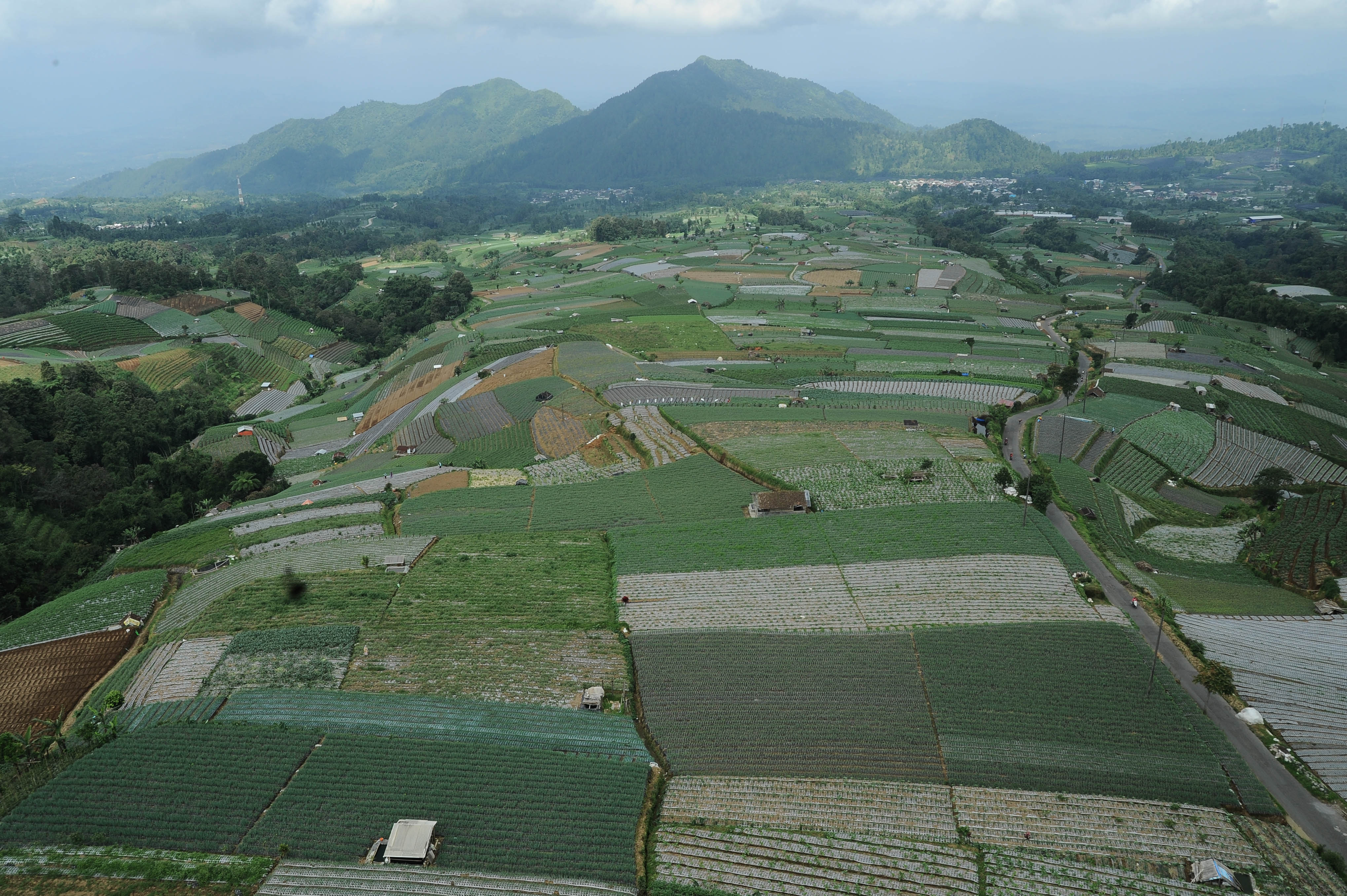 Wisata Lereng Gunung Sumbing