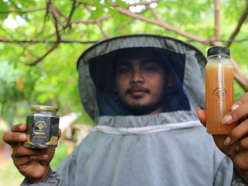 Budi Daya Madu Kelulut Di Aceh Besar