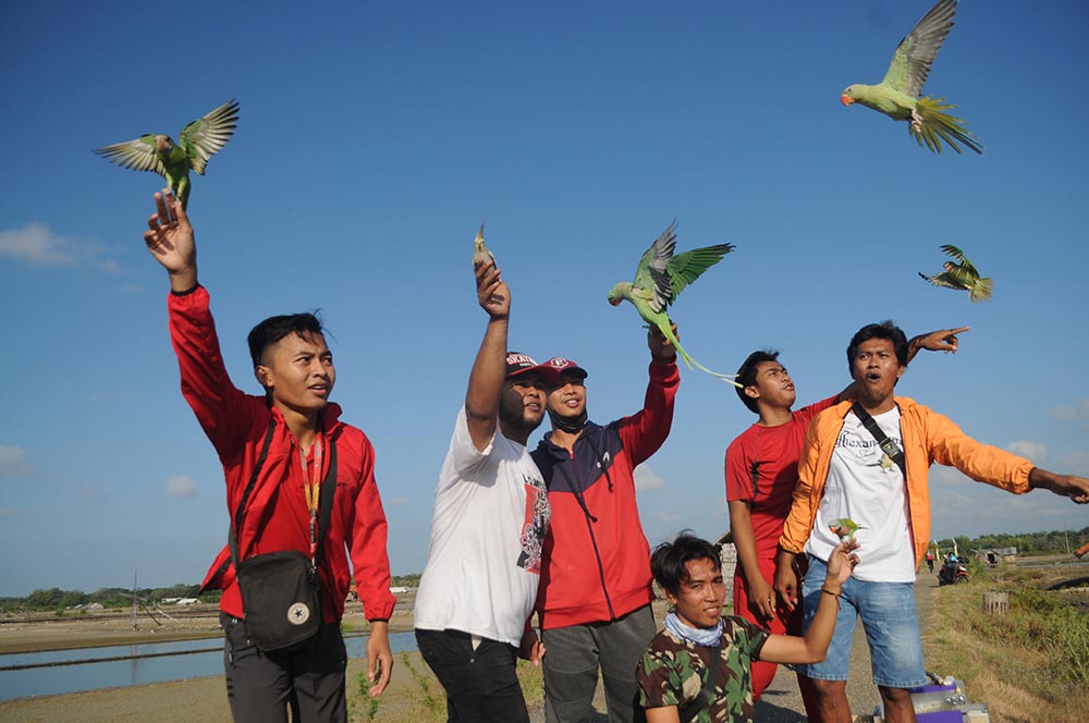 Komunitas Pecinta Burung Paruh Bengkok