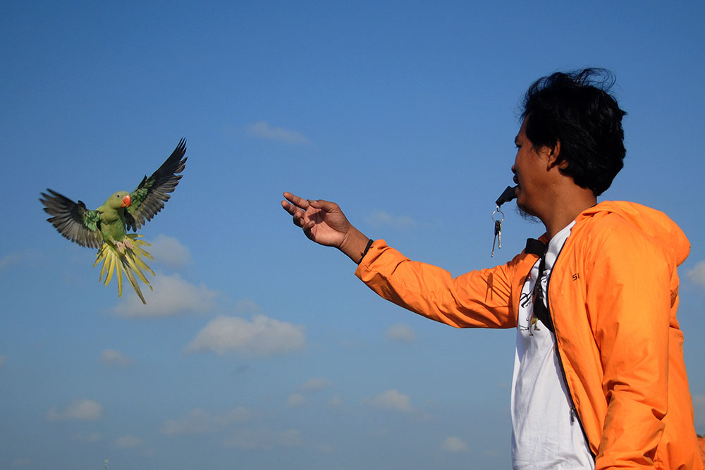 Komunitas Pecinta Burung Paruh Bengkok